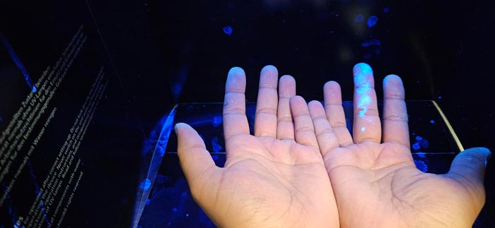 Aktionstag der Händehygiene 2024: Prävention im Fokus