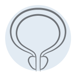 Icon Prostata