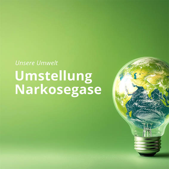 Glühbirne mit unserer Erde-Grüner Hintergrund