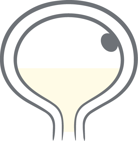 Blasenkarzinom Icon