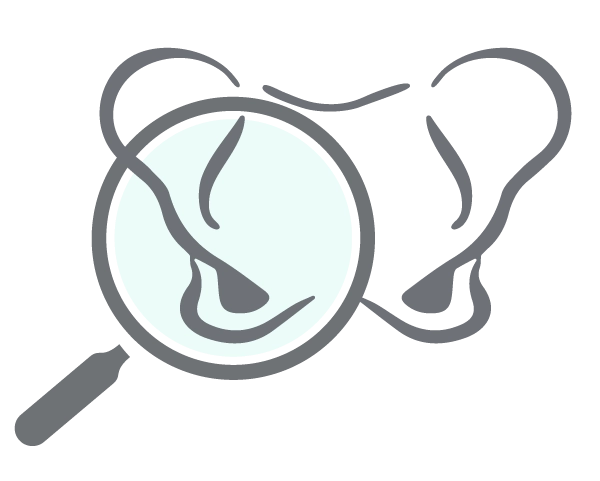 UKMP Brand Icon